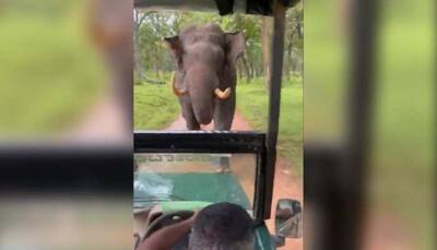 ‘Best Bolero driver…’ Driving skills of forest guide impresses Anand Mahindra after angry elephant charges towards SUV