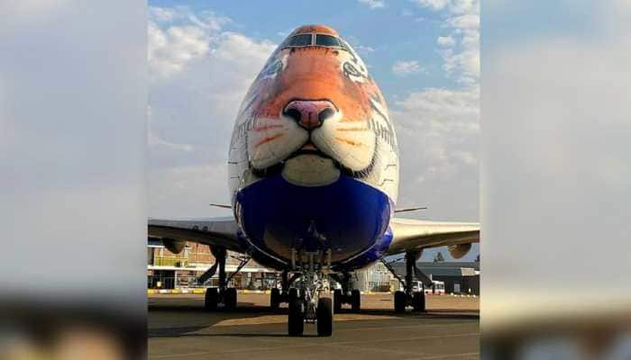 Project Cheetah: Boeing 747 plane with special livery lands in Namibia to get &#039;World&#039;s Fastest Animal&#039; back to India
