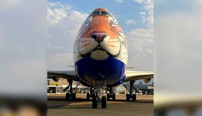 Project Cheetah: Boeing 747 plane with special livery lands in Namibia to get 'World's Fastest Animal' back to India