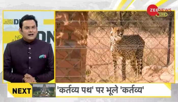 DNA Exclusive: A look at the historic reintroduction of Cheetah in India after 75 years