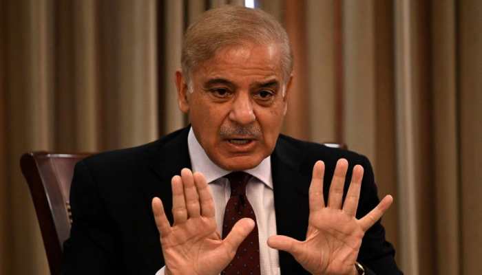 Even friendly countries now look at Pakistan as country with ‘begging bowl’: PM Shehbaz Sharif