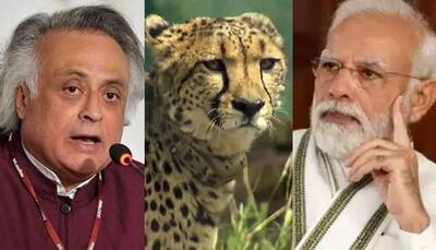 ‘Pathological Liar’: Congress slams PM Narendra Modi over his criticism of previous govts on Cheetah re-introduction