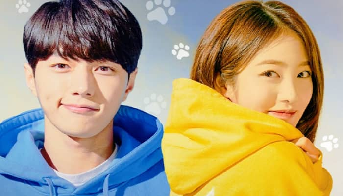 Popular K-drama &#039;Meow The Secret Boy&#039; to premiere from TODAY, deets inside