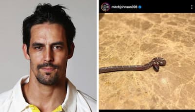 Shocking! Mitchell John shares pictures of SNAKE in his hotel room, check HERE