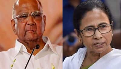 Sharad Pawar’s BIG claim ahead of 2024 polls: ‘Mamata Banerjee READY to BURY all differences with Congress’