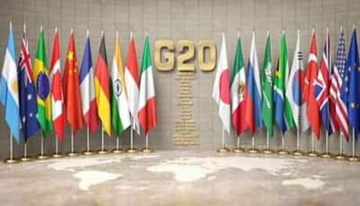 ‘Have to make sure G20 is relevant,’ says Indonesia's Ambassador Ina Krisnamurthi