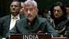 At UNSC, India slams China for putting hold on listing of Pakistan-based terrorists: 'Politics should never ever...'