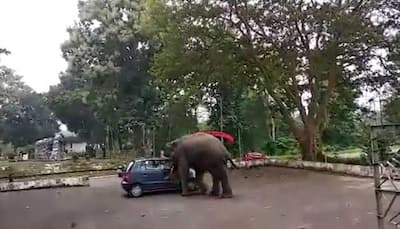 Video of an elephant goofing around with a Hyundai Santro in Assam goes VIRAL: Watch