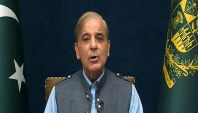 Pakistan PM Shehbaz Sharif says floods signify global climate impact, urges UN to act
