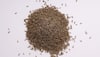 cumin seed health benefits