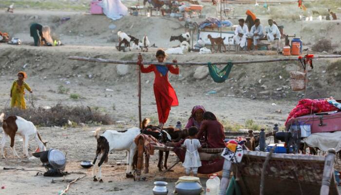 Pakistan Health Crisis: Around 4,000 cases of infectious diseases reported within 24 hours