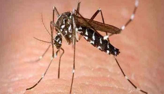 Dengue outbreak in Delhi: With 129 new cases, tally crosses 500-mark