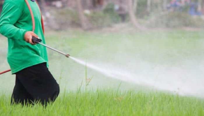 How to reduce harmful effects of pesticides in day-to-day life