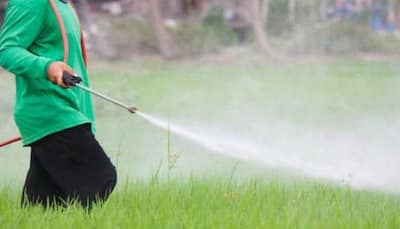 How to reduce harmful effects of pesticides in day-to-day life