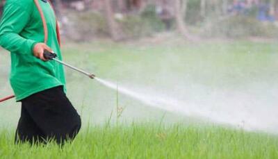 How to reduce harmful effects of pesticides in day-to-day life