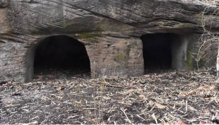 ASI finds Buddhist caves, temples of 2nd-3rd century AD in Bandhavgarh Tiger Reserve 