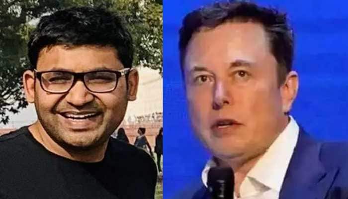 'Treat me like engineer': Twitter CEO Parag Agrawal responds to Musk's remark
