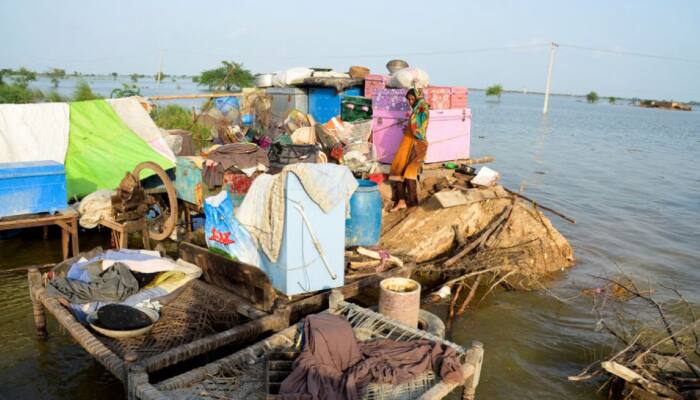 Pakistan Floods: World Bank to provide USD 323 billion to farmers in affected areas