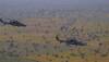IAF to formally induct indigenously-built Light Combat Helicopter tomorrow, all you need to know