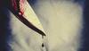 stabbed to death at krishna nagar