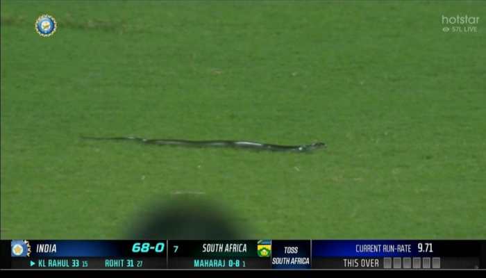 BIZARRE! India vs South Africa 2nd T20I stopped due to SNAKE - WATCH
