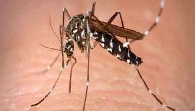 Dengue outbreak in Delhi: With over 400 fresh cases, tally rises to 937 in national capital