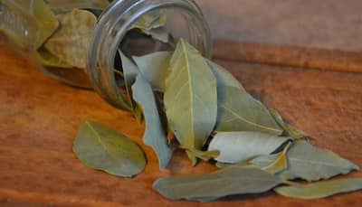 Bay leaf to lose weight and manage diabetes: How to use tej patta to reap health benefits