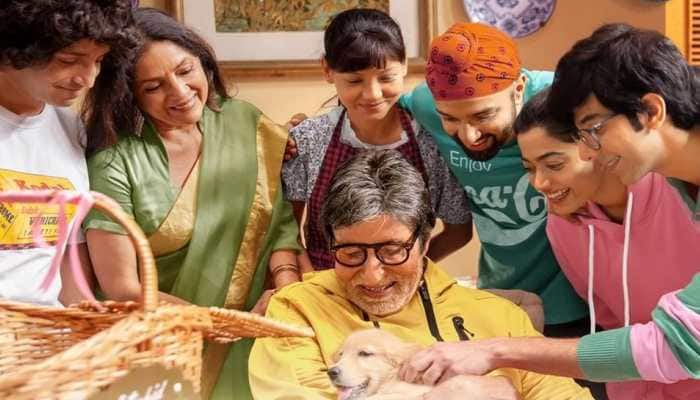 Goodbye movie review: Amitabh Bachchan, Rashmika Mandanna starrer takes you  on an emotional ride breaking all stereotypes! | Movies News | Zee News