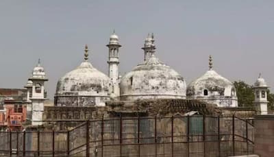 Gyanvapi Mosque case: Varanasi court defers verdict on 'Shivling' carbon dating to Oct 11
