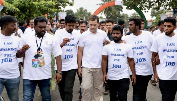 Bharat Jodo Yatra completes 1 month on the road, Congress shares a look back at Rahul Gandhi’s journey - WATCH
