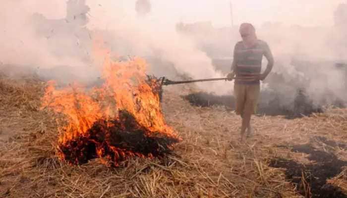 Punjab farmers are now choosing sustainable ways of getting rid of crop residue; here&#039;s why