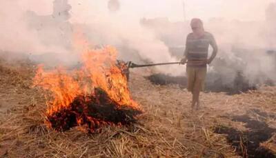 Punjab farmers are now choosing sustainable ways of getting rid of crop residue; here's why