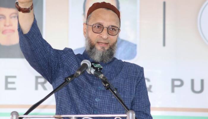 A stray dog has &#039;respect&#039; in India but not Muslims: Asaduddin Owaisi slams BJP