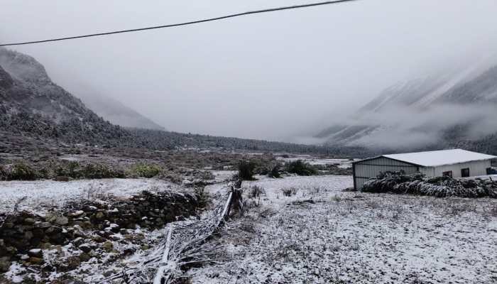 Uttarakhand's Pithoragarh receives heavy snowfall, key roads blocked