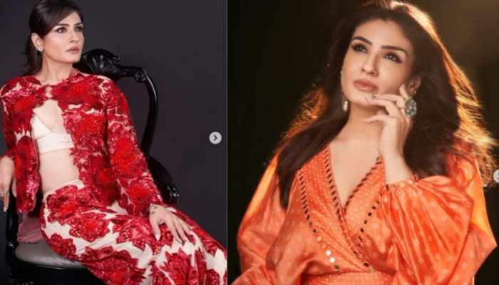 Rhino gets hit by truck in Assam, Raveena Tandon reacts strongly, says 'Why can't...'