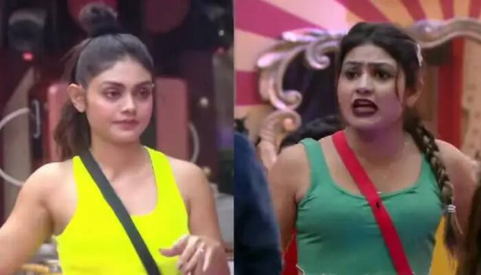 Bigg Boss 16, Day 9 Updates: Sreejita calls Gauri &#039;uncultured,&#039; MC Stan is hating the &#039;groupism&#039;!