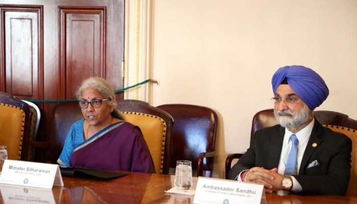 Indian economy's growth momentum will be sustained in next budget: FM Nirmala Sitharaman