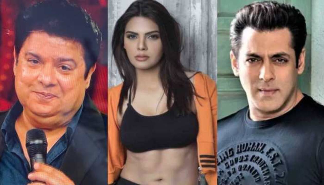 X Salman Khan Video - Sherlyn Chopra now targets Salman Khan over her allegations on 'Bigg Boss  16' contestant Sajid, says THIS | People News | Zee News