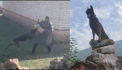Army dog, who helped in killing two terrorists in Jammu and Kashmir encounter, dies
