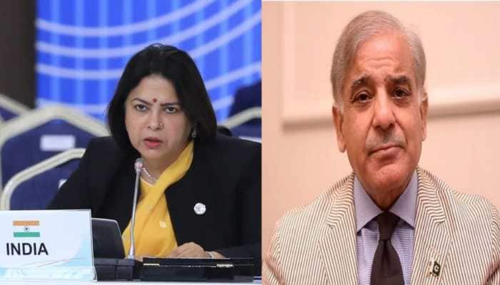 Pakistan PM Shehbaz Sharif raises Kashmir issue at CICA Summit; India gives befitting reply