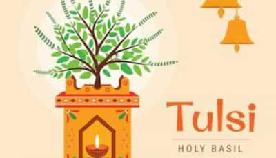 Tulsi Vivah 2022: Date, Significance and Shubh Muhurat