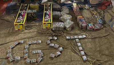 Snakes, Tractor Ride, Waterlogged Area and Secret Godowns: How GST anti-evasion team unearthed illegal firecrackers racket