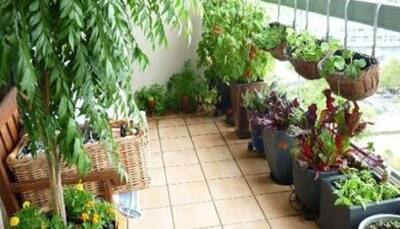 How to Grow a Balcony Garden: 5 Tips for Balcony Gardening