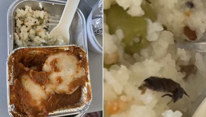 &#039;Screams fishy...&#039; Jet Airways CEO supports Vistara airline after passenger complains of cockroach in meal
