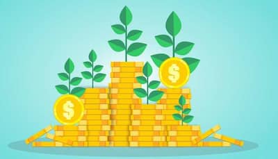 NRIs ATTENTION! Five investment options that you can explore putting money into