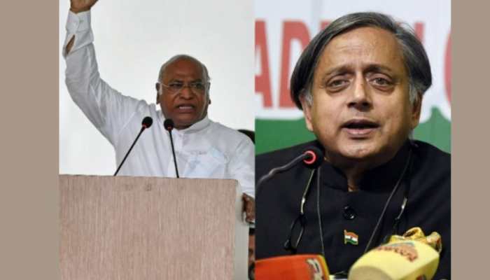 Congress President Polls: After 22 years party to witness contest for the post; Details here