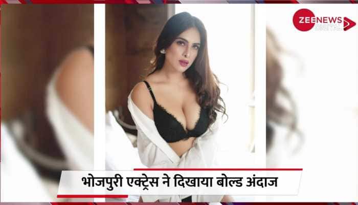 700px x 400px - Neha Malik Bhojpuri Actress slipped her pants bold pose fanssweating after  seeing the photos | Zee News