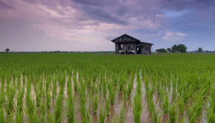 Kati Bihu 2022: Greetings, wishes, WhatsApp messages to share with loved ones today