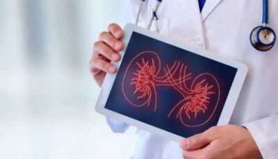 Gene signature indicates the prognosis of kidney cancer reveals study