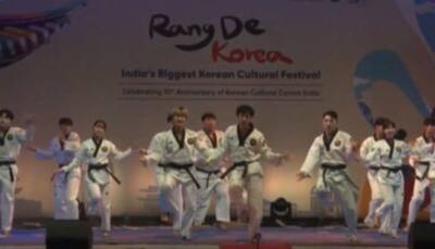 South Korean artists show interest in working with Bollywood stars at 'Rang de Korea' festival